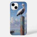 Pesquisar por pelicano iphone capas Litoral