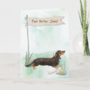 Pesquisar por do dachshund cartoes For pets