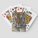 Pesquisar por panthera Animal