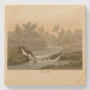 Pesquisar por sanduíche porta copos Ilustração