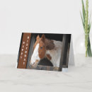 Pesquisar por cavalo feliz cartoes Equestre