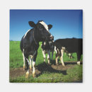 Pesquisar por gado imas Agricultura