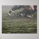 Pesquisar por o rugby pôsteres Pessoas