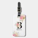 Pesquisar por cinzas bagagem tags Bonito