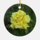 Pesquisar por orvalho ornamentos Gotas de orvalho