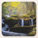 Pesquisar por cachoeira porta copos Musgo