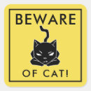 Pesquisar por gatos engraçados adesivos Gatinho