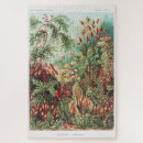 Pesquisar por natureza Vintage
