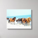 Pesquisar por cavalo selvagem impressão de canvas Praia