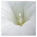 Pesquisar por fundo amarelo azulejos Cinza