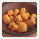 Pesquisar por pimenta adesivos Madeira