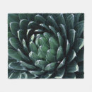 Pesquisar por succulents mantas Planta