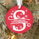 Pesquisar por letra s ornamentos Natal