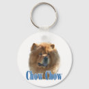 Pesquisar por chow chaveiros Taco