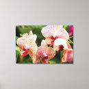 Pesquisar por orchid impressão de canvas Natureza