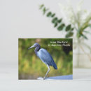 Pesquisar por pantanal cartoes postais Azul