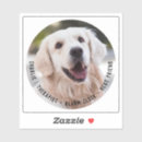 Pesquisar por foto artesanato material For her