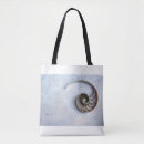 Pesquisar por compre seashells Moderno