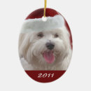 Pesquisar por maltês natal ornamentos Animais de estimação