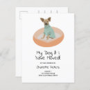 Pesquisar por casa de cachorro cartoes postais Amante de estimação