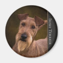 Pesquisar por terrier imas Amantes do cão