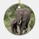 Pesquisar por uganda ornamentos Africano