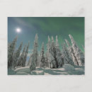 Pesquisar por aurora boreal cartoes postais Céu noturno