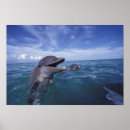 Pesquisar por amigável artes pôsteres Oceano