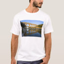 Pesquisar por aquedutos camisetas Arquitetura