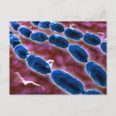 Pesquisar por inflamação cartoes postais Horizontal