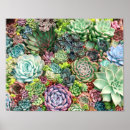 Pesquisar por flores decorativas pôsteres Qualquer pessoa