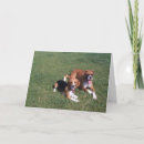 Pesquisar por beagle cartoes Animais de companhia