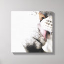 Pesquisar por quadrado impressão de canvas Animais
