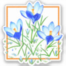 Pesquisar por croco adesivos Flores