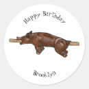 Pesquisar por do assado adesivos For kids