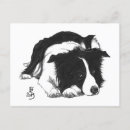 Pesquisar por border collie convites Preto e branco