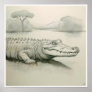 Pesquisar por desenho crocodilo pósteres pôsteres Animais