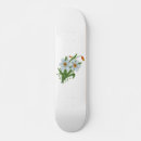 Pesquisar por tulipa skates Flor