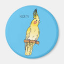 Pesquisar por cockatiel imas Papagaio