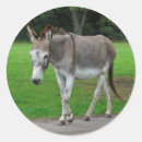 Pesquisar por animal da mula adesivos Animais