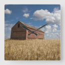 Pesquisar por campo trigo de relogios de parede Fazenda