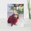 Pesquisar por cute dachshund cartoes Pet