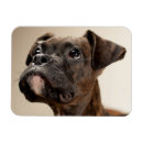 Pesquisar por curiosidades imas Fotografia