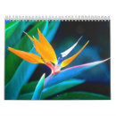 Pesquisar por flores exóticas calendarios Flora