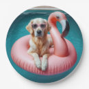 Pesquisar por retriever pratos Cachorro