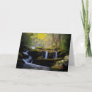 Pesquisar por moss cartoes Woodland