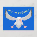 Pesquisar por alba cartoes postais Pássaro