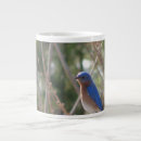 Pesquisar por bluebird canecas Aves