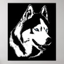 Pesquisar por husky siberiano pôsteres Malamute