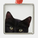Pesquisar por pintura digital ornamentos Gato